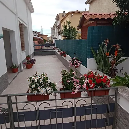 Sa Corte De Peppino - *